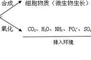 污泥处理方法