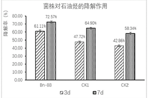 微小杆菌Bn-88、微生物菌剂及其降解石油烃应用