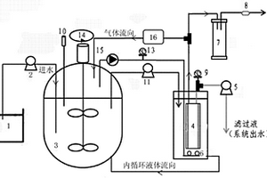 应用厌氧膜生物反应器对污水进行处理以脱硫除氮的方法