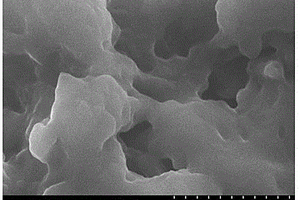 多孔型聚季铵盐凝胶吸附剂的制备方法