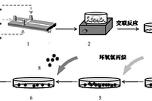 多孔壳聚糖金属离子吸附剂微流控制备方法