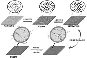 细菌纤维素膜/分子印记吸附材料及其制备方法和应用