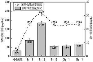 藻菌共培养去除苯酚和促进小球藻生长的方法