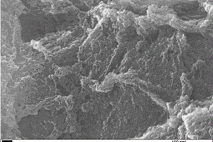 二氧化钛/石墨烯复合纳米光催化剂及其制备方法与应用