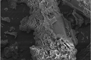 β-环糊精/聚谷氨酸改性的生物炭的制备方法及其应用