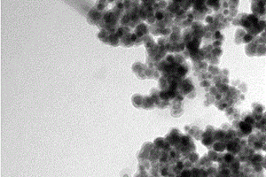 磁性腐殖酸纳米材料及其制备方法和应用