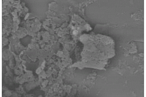 镍掺杂石墨相氮化碳光催化剂的制备方法