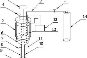 高压条件下氧气溶解度的测量装置及其测量方法