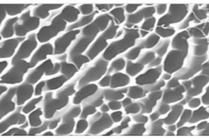 多糖纳米微晶掺杂的壳聚糖基仿生吸附凝胶的制备方法及应用