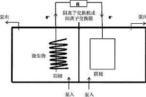 利用微生物燃料电池去除重金属或回收贵金属的方法