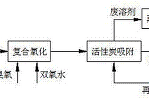 用于反渗透浓水有机物去除工艺