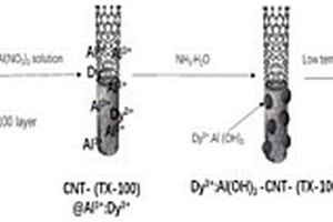 表面包裹γ-Al2O3：Dy3+颗粒的碳纳米管吸附剂及其制备方法