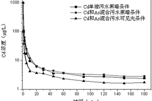 阴离子粘土吸附剂及其制备方法和应用