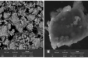 磷掺杂钒钛磁铁矿基电极及其制备方法和应用