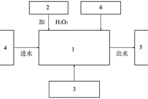 微压沸腾的水氧化方法及处理设备