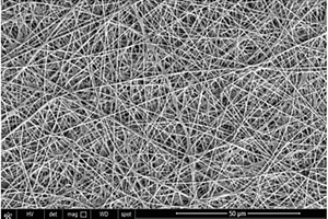 含有重金属离子印迹交联壳聚糖纳米纤维膜及其制备方法