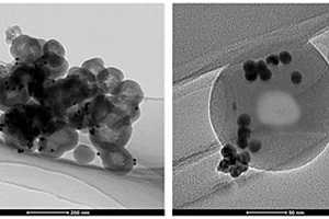木瓜蛋白酶改性金纳米颗粒修饰淀粉/二氧化硅复合材料及其制备方法和应用
