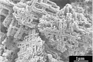 纳米线网状结构钛酸钙可见光催化剂及其制备方法和应用