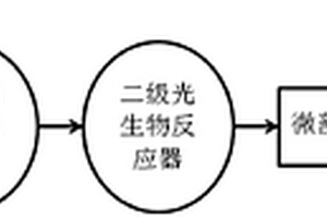 利用微藻高效净化沼液的生物处理方法