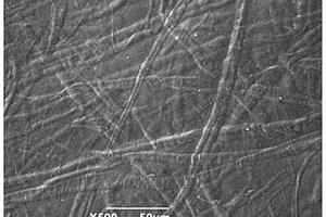 壳聚糖-纤维素纳米纤维复合薄膜的制备方法