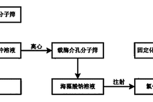 固定化酶生物催化剂的制备方法