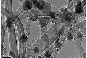 碳纳米管负载多级纳米四氧化三铁吸附剂及其制备方法与应用