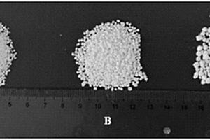 颗粒状三聚氰胺氰尿酸盐的制备方法