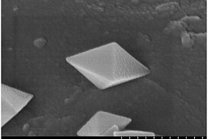 微波法制备八面体纳米尺寸的钒酸铋光催化剂的方法