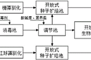 利用复合微藻高效净化猪场沼液的方法