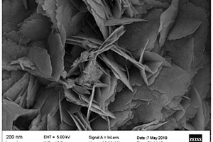 含氧空位钨酸铋/富氧结构的石墨型氮化碳复合光催化材料及其制备方法和应用