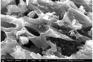 壳聚糖-生物炭复合材料及应用方法