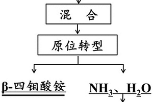β型四钼酸铵的制备方法