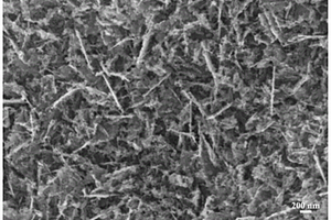 高效钴镍氧化物/二氧化锰纳米结构膜层催化剂的制备方法及其应用