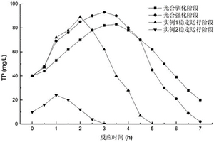 强化生物除磷方法