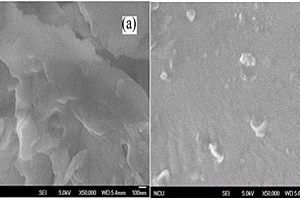 PDMS-TiO2-SiO2薄膜的制备方法及其在固定床光降解反应器中的应用