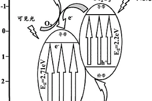 氧化铁/溴氧化铋复合材料及其制备方法和应用