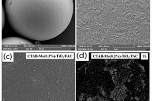 负载型Mo-Ti双掺杂TiO2光催化剂及其制备和应用