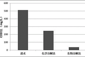 高效污水COD处理方法