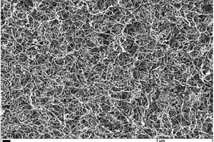 碳纳米复合材料及其制备方法