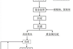 多硫基除重药剂及其制备方法和应用