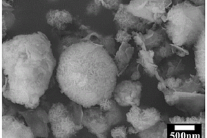 微米花状氧化铋材料及其制备方法和在吸附放射性阴离子中的应用