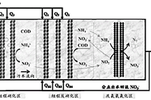 分点进水-可拼接生物膜模块式高效脱氮工艺