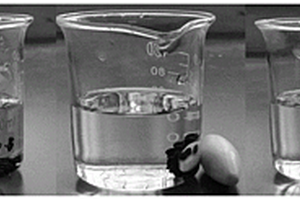 海藻酸钠/壳聚糖季铵盐磁性吸附凝胶球及其制备方法和应用