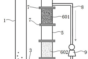 两级梯度臭氧催化流化床深度处理生化尾水的装置及方法