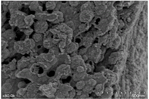 生物炭负载铁基纳米改性材料及其制备方法和应用