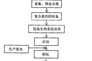 极端嗜盐菌、及复合嗜盐菌菌剂和应用