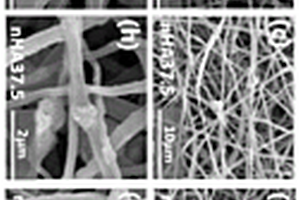 纳米羟基磷灰石/玉米醇溶蛋白/聚乙烯醇纳米纤维及其制备方法