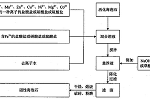 制备磁性海泡石的方法