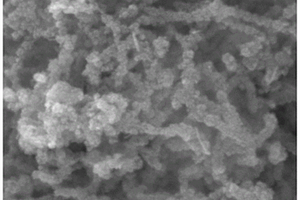 磁性碳纳米管破乳剂的制备方法及其应用