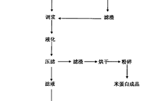 洗米水联产麦芽糖饴和米蛋白制备工艺